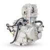 Mootor ZONGSHEN CBS300CC - Image 2