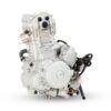 Mootor ZONGSHEN CBS300CC
