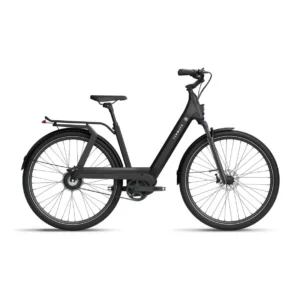 Elektrijalgratas TENWAYS AGO T, Black