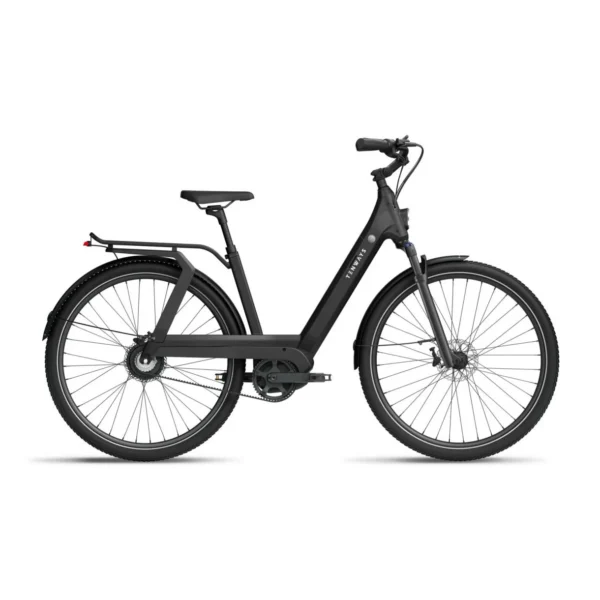 Elektrijalgratas TENWAYS AGO T, Black