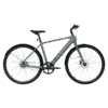 Elektrijalgratas TENWAYS CGO600 PRO, Light Grey (M)