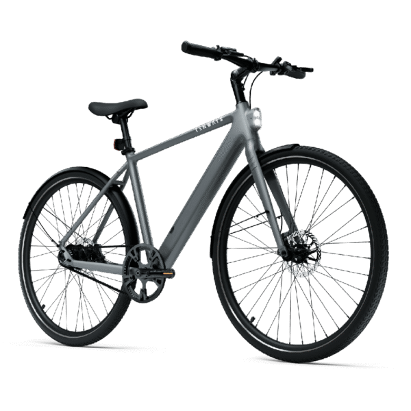 Elektrijalgratas TENWAYS CGO600 PRO, Light Grey (M) - Image 2