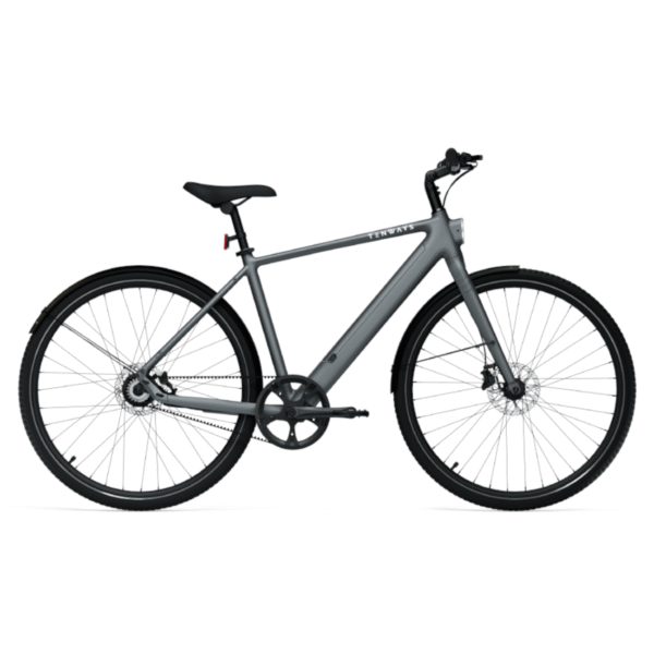 Elektrijalgratas TENWAYS CGO600 PRO, Light Grey (M)