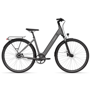 Elektrijalgratas TENWAYS CGO800S, Light Grey