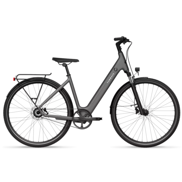 Elektrijalgratas TENWAYS CGO800S, Light Grey