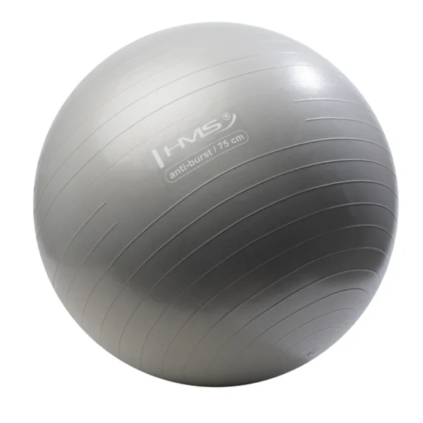 Võimlemispall HMS YB02N Gym Ball 75 cm, hall - Image 2