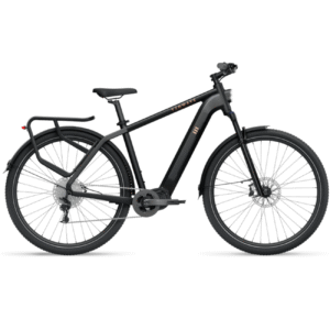 Elektrijalgratas TENWAYS AGO X, 29" Midnight Black (L)