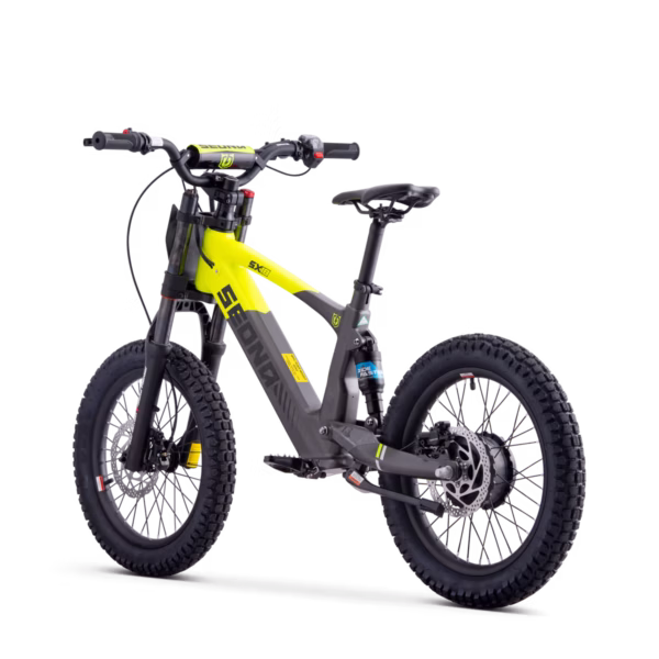 ELEKTRILINE TASAKAALURATAS SEDNA SX18″ KOLLANE - Image 2