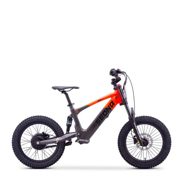 ELEKTRILINE TASAKAALURATAS SEDNA SX18″ ORANZ - Image 7