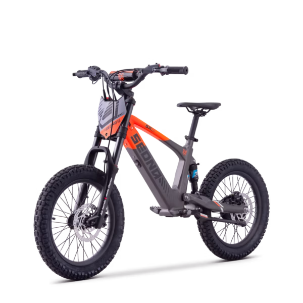 ELEKTRILINE TASAKAALURATAS SEDNA SX18″ ORANZ - Image 6