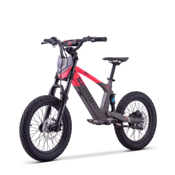 ELEKTRILINE TASAKAALURATAS SEDNA SX18″ ROOSA - Image 3