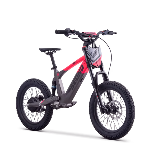 ELEKTRILINE TASAKAALURATAS SEDNA SX18″ ROOSA