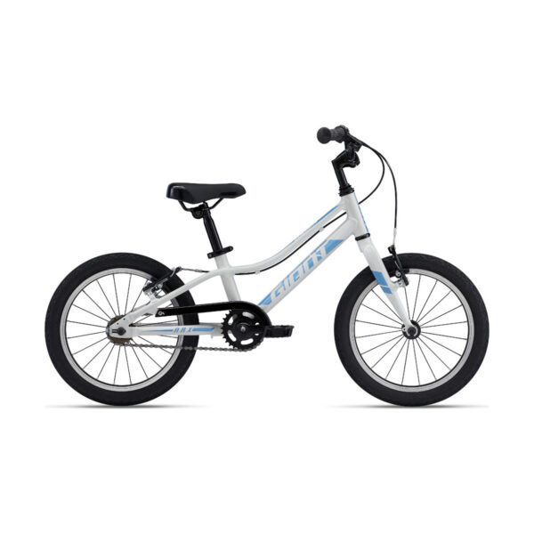 Ülikerge laste jalgratas GIANT ARX 16" F/W Snow Drift