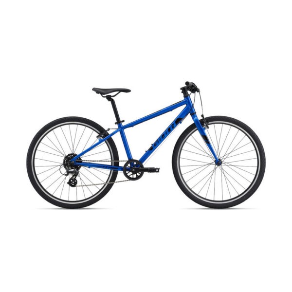 Ülikerge laste jalgratas Giant ARX 26, Sapphire