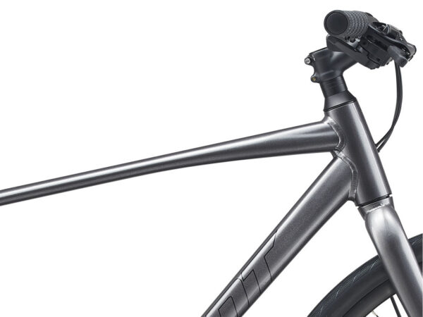 Jalgratas Giant Escape Disc 3 Metallic Black (XL) - Image 5