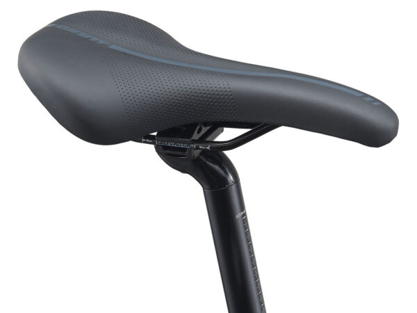 Jalgratas Giant Escape Disc 3 Metallic Black (XL) - Image 6