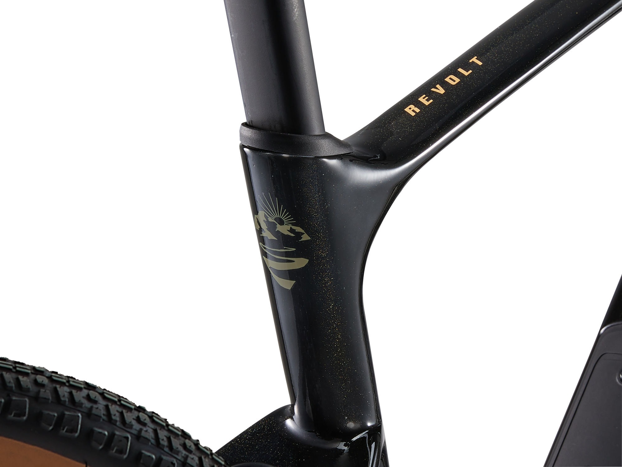 Gravel jalgratas GIANT Revolt Advanced 3 (2025) Panther (L) - Image 5