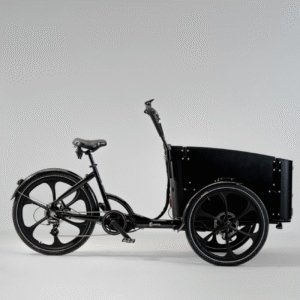 Elektriline kastiratas CARGOBIKE Delight