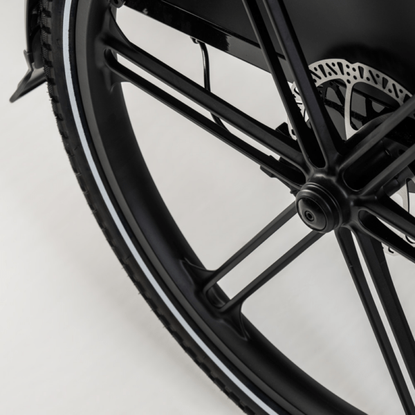 Elektriline kastiratas CARGOBIKE of SWEDEN Flex - Image 6