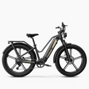 Elektrijalgratas FIIDO Titan, Grey