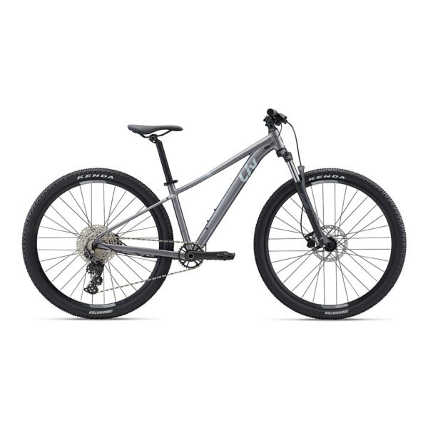 Naiste jalgratas LIV Tempt 2 29" Liquid Metal (M)