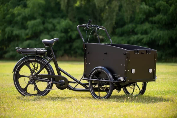 Elektriline kastiratas CARGOBIKE of SWEDEN Svensson Family - Image 4