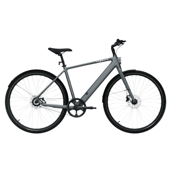 Elektrijalgratas TENWAYS CGO600 PRO (2025) Pebble Grey (S)