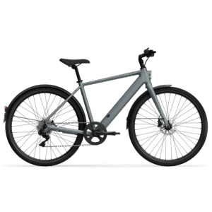 Elektrijalgratas TENWAYS CGO600 Plus (2025) Pebble Grey (L)