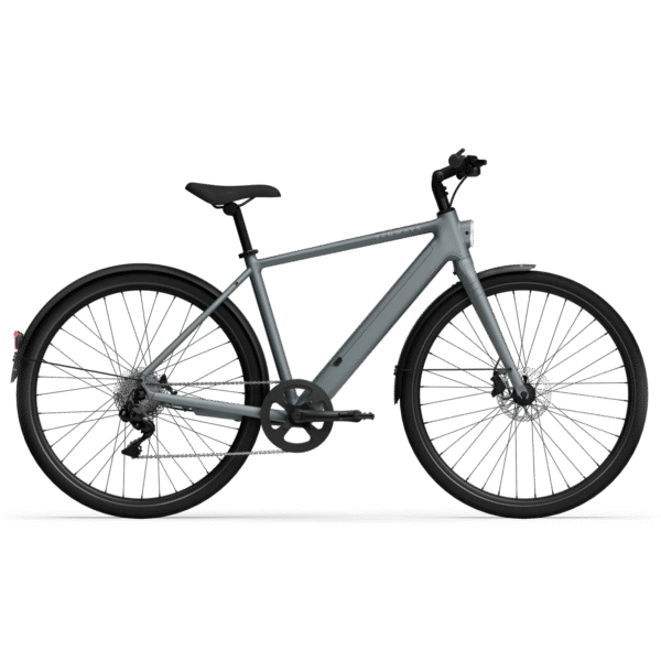 Elektrijalgratas TENWAYS CGO600 Plus (2025) Pebble Grey (M)