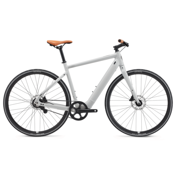 Elektrijalgratas MOMENTUM Voya E+ 2, 28" Lunar (L)