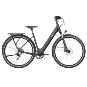 Elektrijalgratas TENWAYS CGO800 Plus (2025) Midnight Black