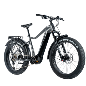 Elektriline fatbike LEADER FOX Brasa 26": Grey (L)