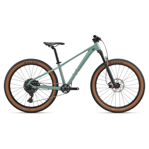 Noorte jalgratas LIV STP 26 (2025) Eucalyptus (M/L)