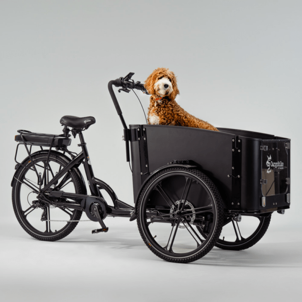 Elektriline kastiratas CARGOBIKE of SWEDEN Flex Dog - Image 3