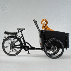 Elektriline kastiratas CARGOBIKE of SWEDEN Flex Dog