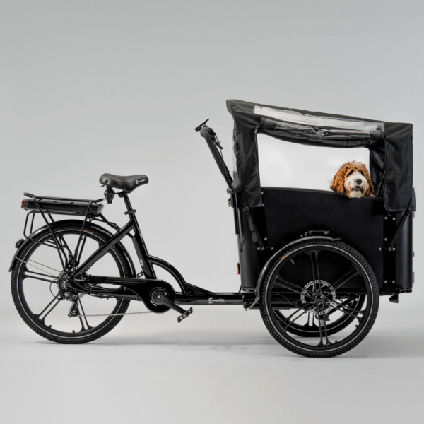 Elektriline kastiratas CARGOBIKE of SWEDEN Flex Dog - Image 6
