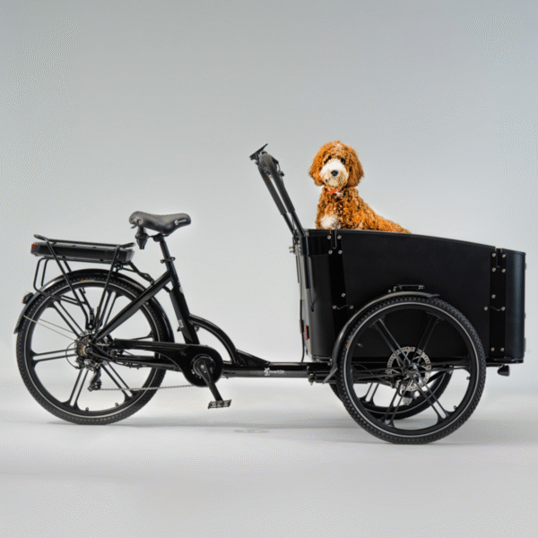 Elektriline kastiratas CARGOBIKE of SWEDEN Flex Dog