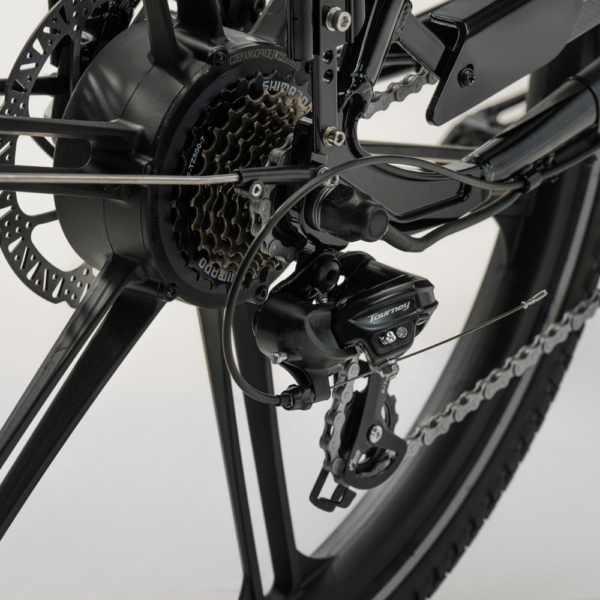 Elektriline kastiratas CARGOBIKE of SWEDEN Flex Dog - Image 9