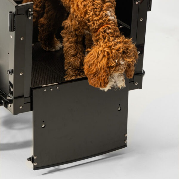 Elektriline kastiratas CARGOBIKE of SWEDEN Classic Dog - Image 2