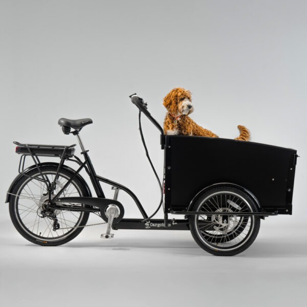 Elektriline kastiratas CARGOBIKE of SWEDEN Classic Dog - Image 3