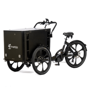 Elektriline kastiratas CARGOBIKE of SWEDEN Delight Box