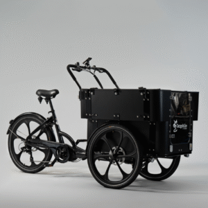 Elektriline kastiratas CARGOBIKE of SWEDEN Delight Kindergarten