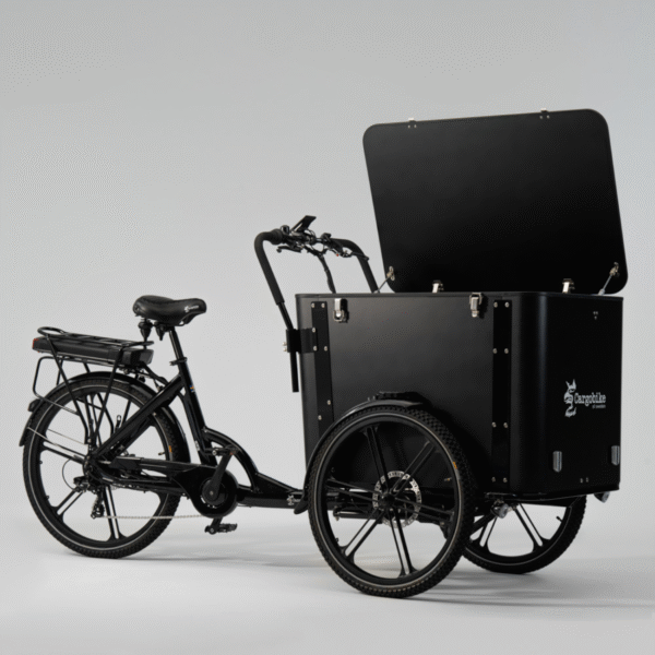 Elektriline kastiratas CARGOBIKE of SWEDEN Flex Box - Image 5