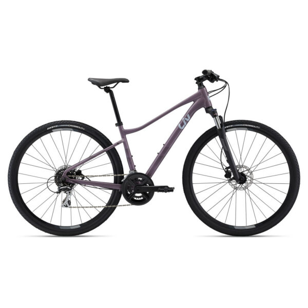Jalgratas naistele LIV Rove 3 DD Purple Ash (L)