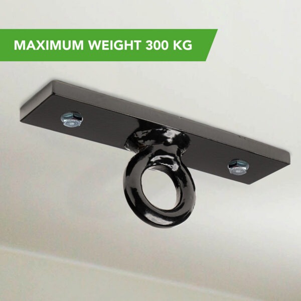 Poksikoti laekinnitus Tunturi Boxing Bag Ceiling Ring - Image 3