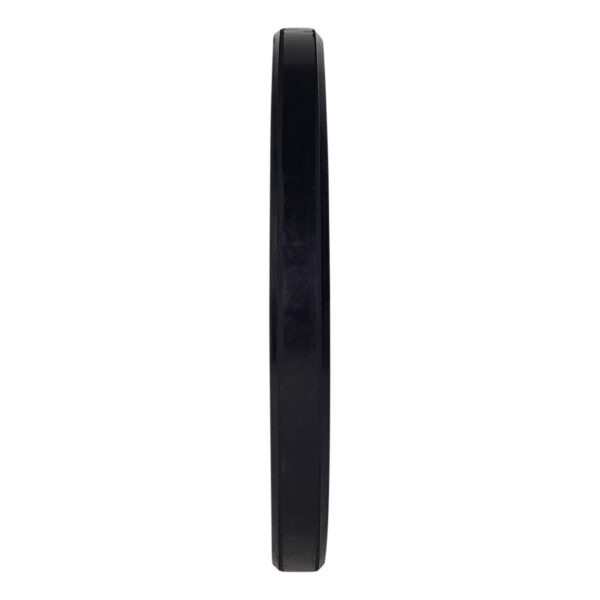 Raskusketas TUNTURI Training Bumper Plate, 50 mm, 10 kg - Image 2