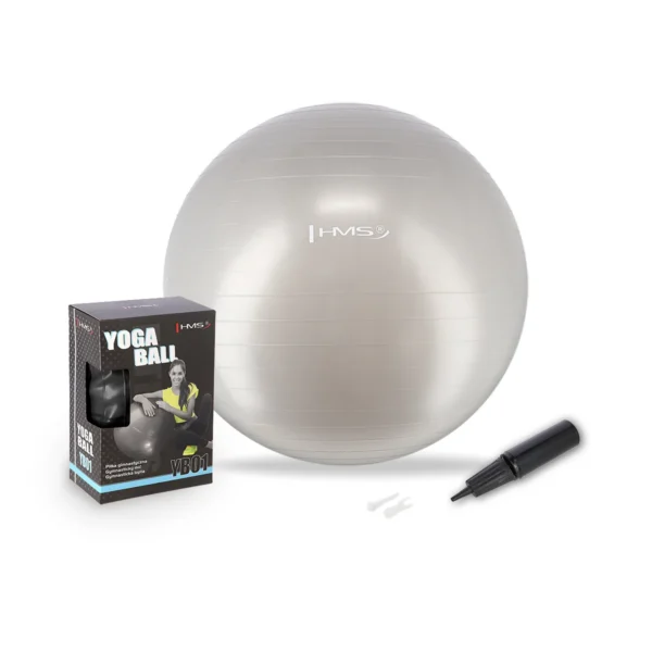 Võimlemispall HMS YB01N Gym Ball 65 cm, hall