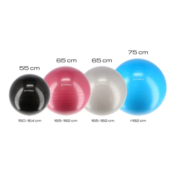 Võimlemispall HMS YB01N Gym Ball 65 cm, hall - Image 2