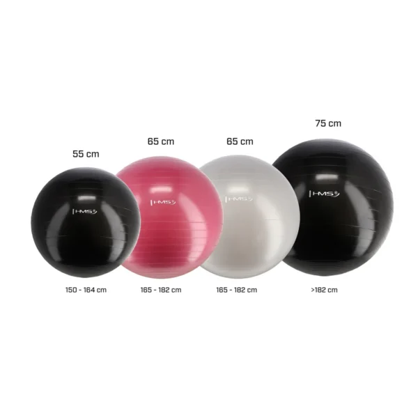 Võimlemispall HMS YB01N Gym Ball 75 cm, must - Image 2