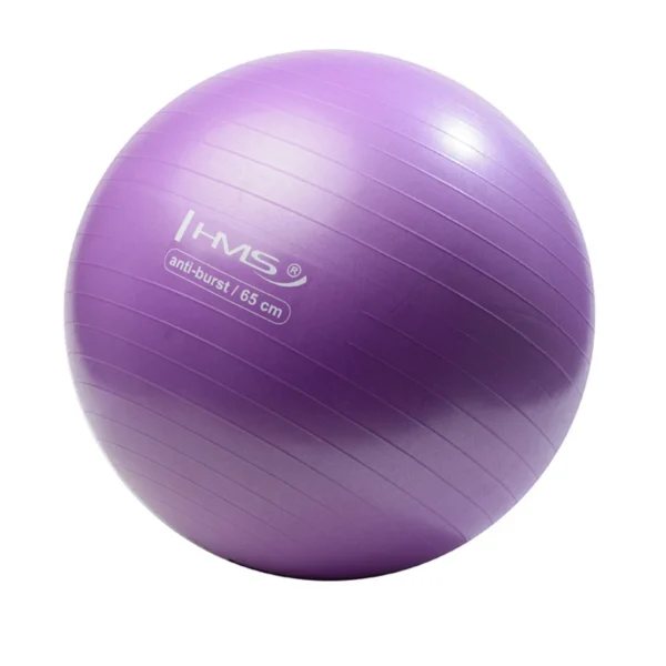 Võimlemispall HMS YB02N Gym Ball 65 cm, lilla - Image 2